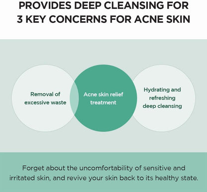 Madagascar Centella Tea-Trica BHA Foam 125Ml, 4.22 Fl.Oz | Foaming Facial Wash for Professional Cleansing Care | Deep Cleanse | Vegan | Korean Skincare