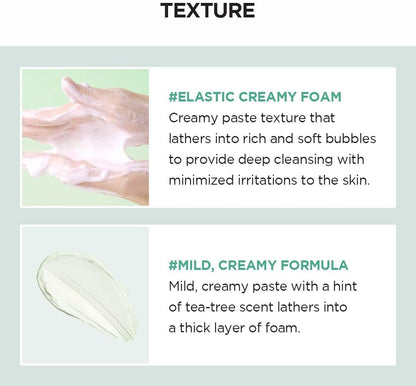 Madagascar Centella Tea-Trica BHA Foam 125Ml, 4.22 Fl.Oz | Foaming Facial Wash for Professional Cleansing Care | Deep Cleanse | Vegan | Korean Skincare