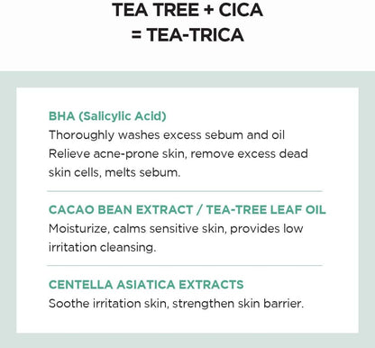 Madagascar Centella Tea-Trica BHA Foam 125Ml, 4.22 Fl.Oz | Foaming Facial Wash for Professional Cleansing Care | Deep Cleanse | Vegan | Korean Skincare
